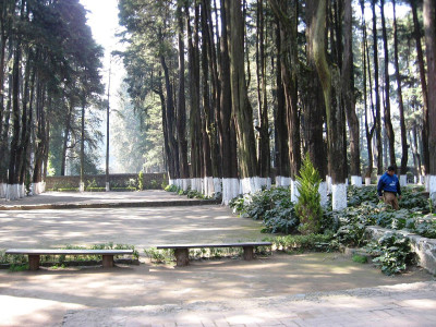 Parque Nacional Desierto de los Leones - Jardín