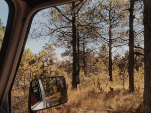 Parque Nacional Desierto de los Leones - Paseo