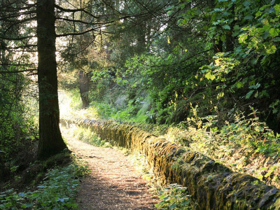 Sendero hacia el Iztaccíhuatl