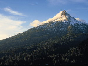 Logo Parque Nacional Nevado de Colima